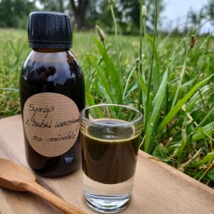 SYROP-ZIOŁOMIÓD Z BABKI LANCETOWATEJ 150ml