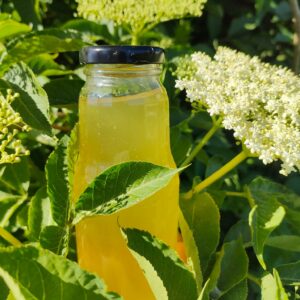 SYROP Z KWIATÓW CZARNEGO BZU 300ML
