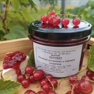CHUTNEY Z CZERWONEJ PORZECZKI Z RÓŻOWYM PIEPRZEM 235ML