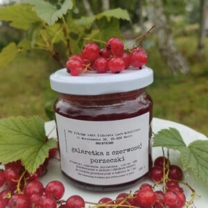 GALARETKA Z CZERWONEJ PORZECZKI 200ML