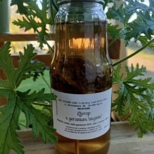 SYROP Z GERANIUM 300ML