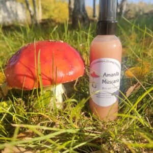 Żel z Muchomora na bóle mięśni i stawów - do masażu 100ml