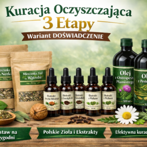 Kuracja oczyszczająca organizm - 3 etapy WARIANT DOŚWIADCZENIE